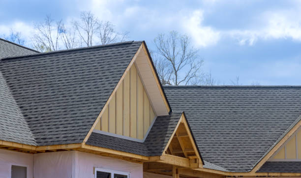 Best Roof Moss and Algae Removal  in Hagerstown, IN